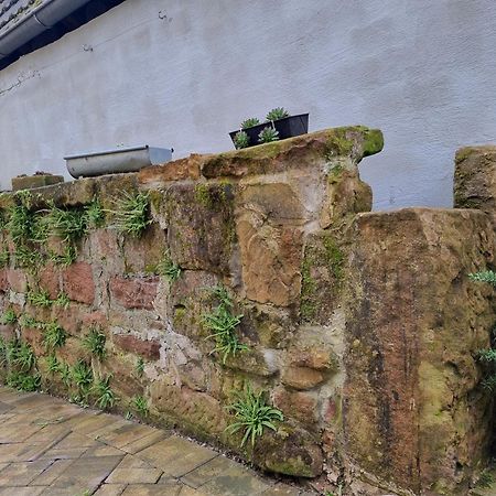 Haus Ziegenblick Villa Herbolzheim Eksteriør billede